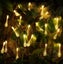 Solar String Lights 50LED Christmas Outdoor Lights 2004282 Carousel 1