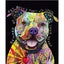 5D Diamond Painting Diamond Art Kits I1805MZ0 Carousel 1