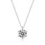 1ct Moissanite Diamond Pendant Necklace S925 Silver 18K White Gold Plated Carousel 1