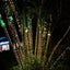 String Lights Solar Lights 2004272 Carousel 7