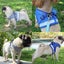 Cat Vest Harness Leash Set S 3631613 Carousel 3