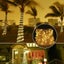 String Lights Solar Lights 2004272 Carousel 4