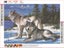 5D Diamond Painting Diamond Art Kits I1800GW0 Carousel 3