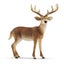 Loading Image 1 of 1