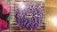 U2 BEST OF 1990'S - 2000 + ZOOROPA LP (CD) Carousel 4