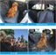 Dog Car Seat Cover Pet Hammock Protector 2100341 Carousel 10