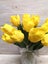 Artificial Flower -Tulip – Real Touch Tulip Cut Stem Carousel 1