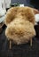 50% OFF New Zealand Gold Start Premium Longwool Sheepskin Carousel 3