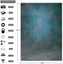 Portrait Photo Backdrop G0617GG Carousel 4