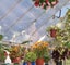 Greenhouse 8ft x16ft Balance - Silver. Carousel 5