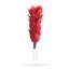 Scottish Traditional Glengarry Hat Feather Hackle Red Highlander Cap Hackle Carousel 1