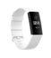 Fitbit Charge 3 Strap L 3074723 Carousel 2
