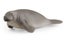 Schleich - Manatee Carousel 1