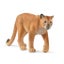 Loading Image 2 of 2