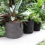 NEW 3 Gallon New Plant Grow Bags Garden Growing Grey Fabric Pot - 25 x 22cm Carousel 6