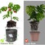 NEW 3 Gallon New Plant Grow Bags Garden Growing Grey Fabric Pot - 25 x 22cm Carousel 8