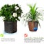 NEW 3 Gallon New Plant Grow Bags Garden Growing Grey Fabric Pot - 25 x 22cm Carousel 9