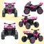 Electric Ride On Car 12V Pink Carousel 4