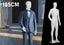 Male Mannequin Manikin Model Dummy Display Stand 185CM Carousel 1