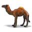 Loading Image 1 of 2