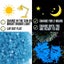 Glow in The Dark Pebbles Luminous Stones Rocks 3659401 Carousel 6