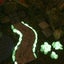 Glow in The Dark Pebbles Luminous Stones Rocks 3659402 Carousel 9