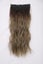 Hair Extensions Ash Blonde C0433DC0 Carousel 4