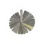 Loading Image 1 of 1