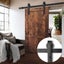 4M Sliding Barn Door Hardware Track Roller Kit Carousel 1