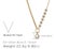 Drop Crystal Pendant Necklace 14KGP Gold Carousel 5