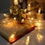 Photo Peg Clip String Lights 5M 50 LED 2004261 Carousel 14