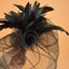 Fascinator Fascinators I0360BK0 Carousel 10