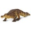 Loading Image 1 of 6