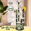 Cat Tree,Cat Scratching Post,Cat Scratcher Carousel 2
