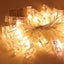 Photo Peg Clip String Lights 5M 50 LED 2004261 Carousel 4