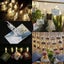 Photo Peg Clip String Lights 5M 50 LED 2004261 Carousel 6