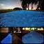 Glow in The Dark Pebbles Luminous Stones Rocks 3659401 Carousel 4