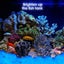 Glow in The Dark Pebbles Luminous Stones Rocks 3659401 Carousel 10