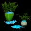 Glow in The Dark Pebbles Luminous Stones Rocks 3659401 Carousel 8