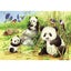 Ravensburger Sweet Koalas and Pandas Puzzle 2 x 24pc Carousel 3
