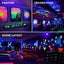 NEW UV Black Light on Afterpay Carousel 6