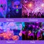 NEW UV Black Light on Afterpay Carousel 10