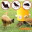 Chicken Feeder with Rat Stopper Caps 2032211 Carousel 5