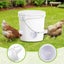 Chicken Feeder with Rat Stopper Caps 2032211 Carousel 12