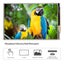 LCD Display Touch Screen Monitor For Raspberry Pi 4 Carousel 4