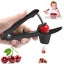 Cherry Pitter Tool New Carousel 1