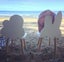Wooden Kids Chair 4 types to choose Carousel 18