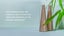 SHOOAWAY - Shoo Away Flies From Your Food - RECYCED BAMBOO 6 units Carousel 3