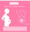 Fetal Doppler 3659101 Carousel 8