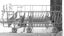 Vogue Integrated Dishwasher 12 Place 60cm - Lunar Carousel 4